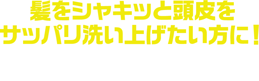 髪をシャキッと頭皮をサッパリ洗い上げたい方に！整髪剤や汚れをまず落とすファーストシャンプーにもおすすめです！