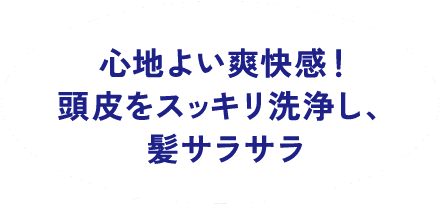 心地よい爽快感！ 頭皮をスッキリ洗浄し、髪サラサラ