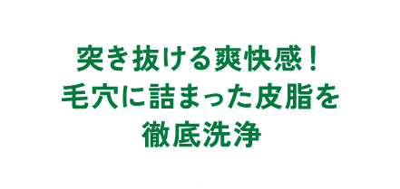 突き抜ける爽快感！ 毛穴に詰まった皮脂を徹底洗浄