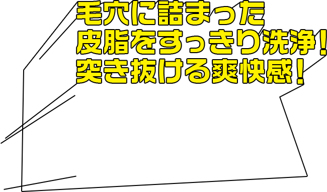 毛穴に詰まった皮脂をすっきり洗浄！突き抜ける爽快感！