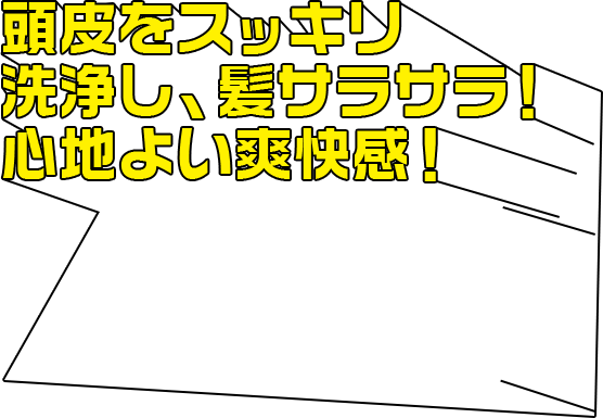 頭皮をスッキリ洗浄し、髪サラサラ!心地よい爽快感!